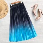 Mid Length 2 in 1 Shaded Pleated Skirt
