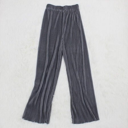 1 Colour Pleated Mopping Pant (Ash)