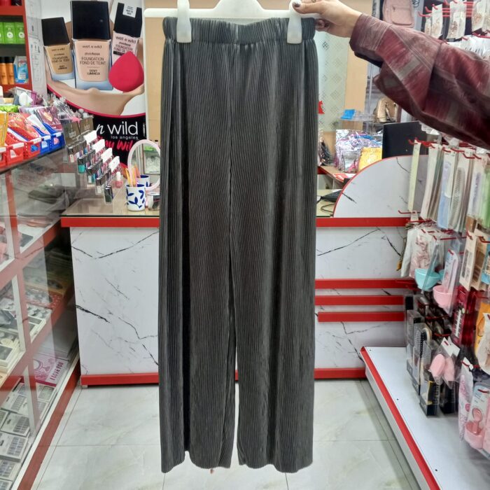 1 Colour Pleated Mopping Pant (Ash) - Image 2