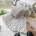 Classic French Polka-Dot High Waisted Mid-Length Pleated Skirt (White)